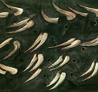 Backdrop Painting by Santiago Calatrava for New York City Ballet