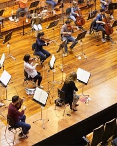 &gt; Orquesta o ensamble de cuerdas: hasta 20 o 50 intérpretes