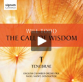 Listen to audio clip