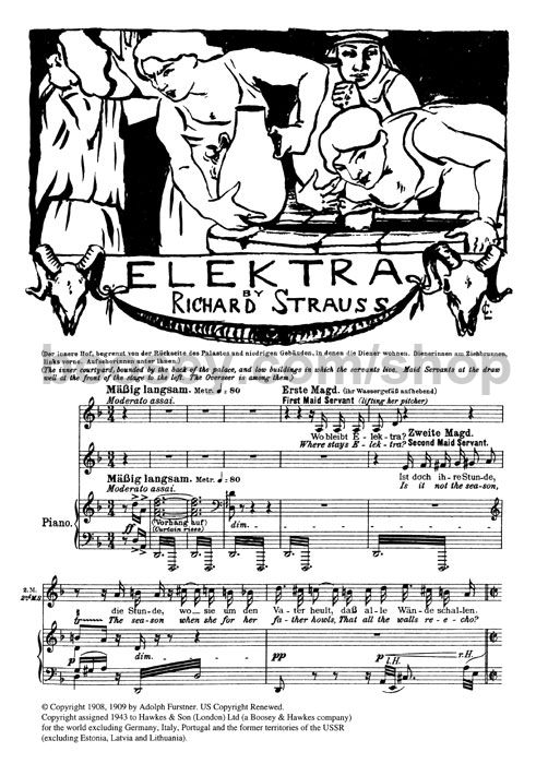 Bildergebnis für strauss elektra