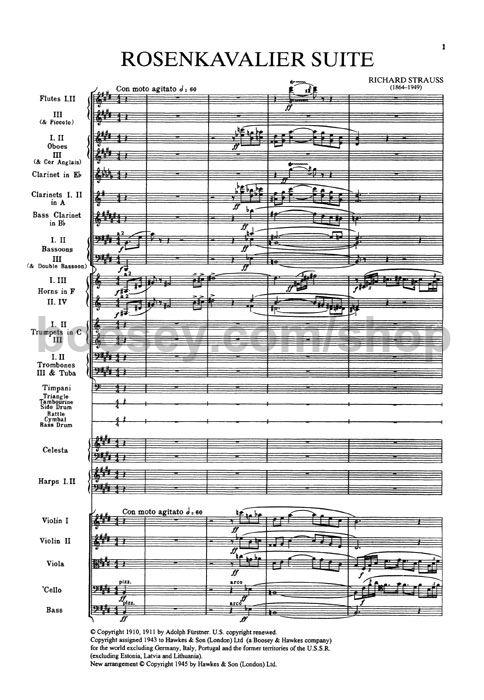 ROSENKAVALIER SUITE SCORE EBOOK ROSENKAVALIER SUITE SCORE EBOOK