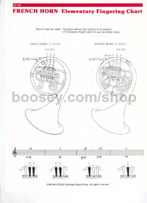 French Horn Chart