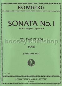 Essay on the craft of cello playing