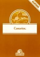 Canarios (Guitar Solo)