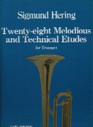 28 Melodious & Technical Etudes 