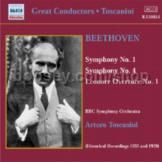 Symphonies 1 and 4 (Naxos Audio CD)