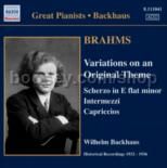 Wilhelm Backhaus performs... (Naxos Audio CD)