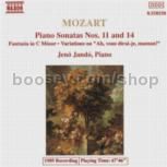 Piano Sonatas Nos. 11 and 14/Fantasia in C Minor (Naxos Audio CD)