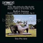 Piano Trio in D minor, Op. 49/Piano Trio in G minor, Op. 15 (BIS Audio CD)