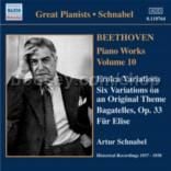 Piano Works vol.10 (Naxos Audio CD)