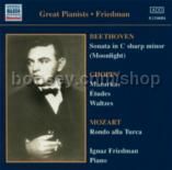 Great Pianists Friedman/'Moonlight' Sonata/Mazurkas (Naxos Audio CD)