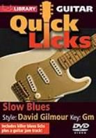 Quick Licks David Gilmour Slow Blues DVD