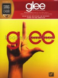 Sing With The Choir 14: Glee (Bk & CD)