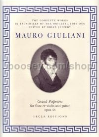 Gran Potpourri Op 53 (flute/violin & guitar)
