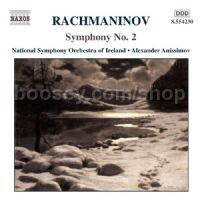 Symphony No.2 Op. 27 in E minor (Naxos Audio CD)