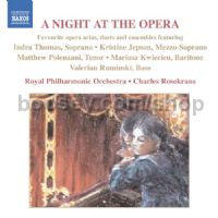A Night at the Opera - Favourite opera arias, duets & ensembles (Naxos Audio CD)