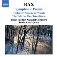 Symphonic Poems (Naxos Audio CD)