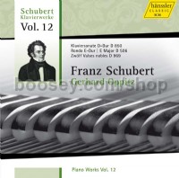 Piano Works Vol. 12 (Hanssler Classic Audio CD)