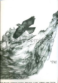Catalogue D'Oiseaux Vol.1
