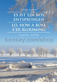 Es ist ein Ros entsprungen (Lo, How a Rose E'er Blooming) for SSAATTBB