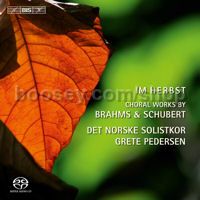 Im Herbst (Bis SACD Super Audio CD)