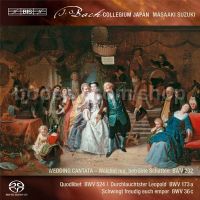 Secular Cantatas Vol. 3 (Bis Audio CD)