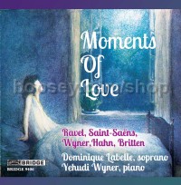 The Meaning Of Love (Bridge Audio CD)