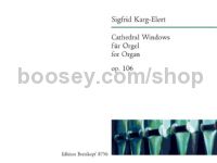 Cathedral Windows Op.106 - organ
