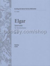 Serenade in E minor op. 20 - string orchestra (score)