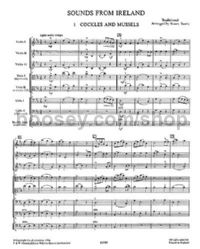 Playstrings Easy 12: Sounds From Ireland (Score)