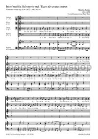 Inter Brachia Salvatoris mei (Mixed Choir)