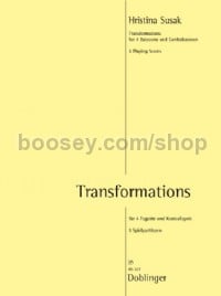 Transformations (Performance Score)