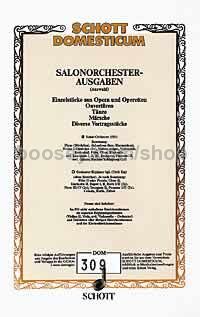 Geschichten aus dem Wienerwald op. 325 - salon orchestra (piano direction & parts)