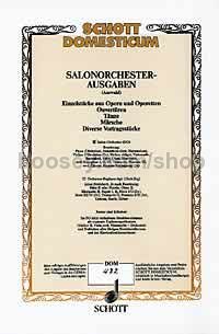 The Watch Tower op. 10 - salon orchestra (piano direction & parts)