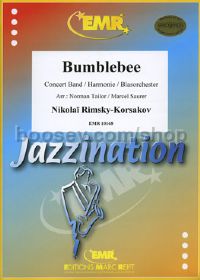 Bumblebee concert Band