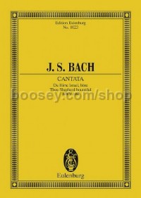 Cantata No. 104 (Dominica Misericordias Domini)