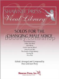 Solos for the Changing Male Voice (+ CD)
