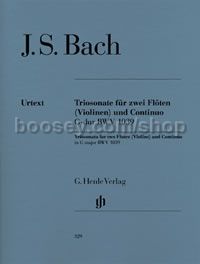 Trio Sonata BWV 1039 for Two Flutes (Violins) and Basso Continuo