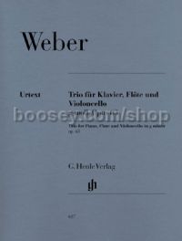Trio in G Minor, Op.63 (Flute, Violoncello & Piano)