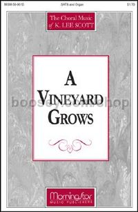 A Vineyard Grows