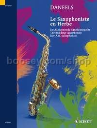 The Budding Saxophonist - saxophone