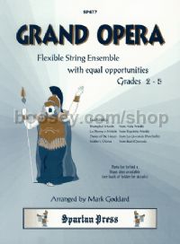 Grand Opera Flexible String Ensemble 