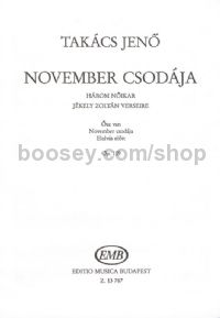November csodája - SA & flute