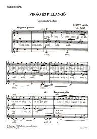 Virág és pillangó - children's choir (3-part)