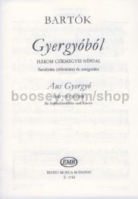 From Gyergyó - recorder & piano