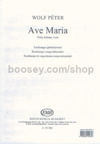 Ave Maria - voice & piano / solo voice, satb & piano