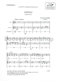 Csufolo - children's choir, flute & triangle