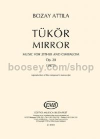 Mirror - zither & cimbalom