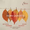 __Quintet for Horn and String Quartet__ (2020)