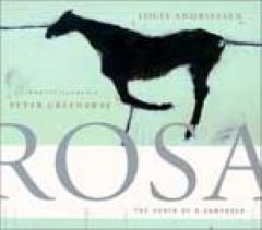 **ROSA: The Death of a Composer** (1993-94)